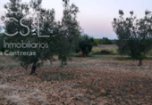 Terreno no urbanizable en venta en la España, Almonte, ref: TR171017 foto