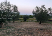 Terreno no urbanizable en venta en la España, Almonte, ref: TR171017 foto
