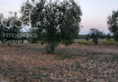 Terreno no urbanizable en venta en la España, Almonte, ref: TR171017 foto