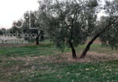 Terreno no urbanizable en venta en la España, Almonte, ref: TR171017 foto