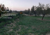 Terreno no urbanizable en venta en la España, Almonte, ref: TR171017 foto