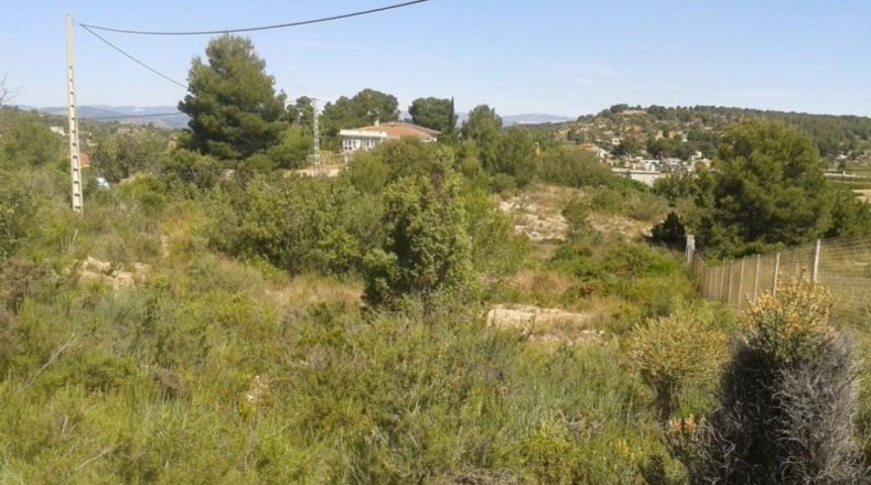 Alicante - Dolores - 2733m2