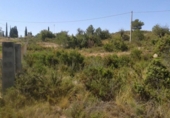 Terreno no urbanizable en venta en la España, Benaguasil, ref: TR319888 foto