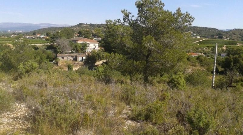 Alicante - Dolores - 2733m2