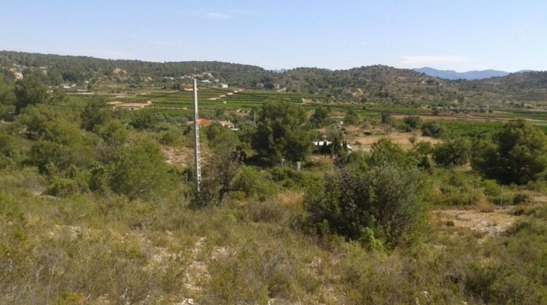 Alicante - Dolores - 2733m2