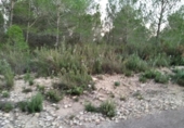 Terreno no urbanizable en venta en la España, Castellón de la Plana, ref: TR319356 foto