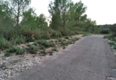 Terreno no urbanizable en venta en la España, Castellón de la Plana, ref: TR319356 foto