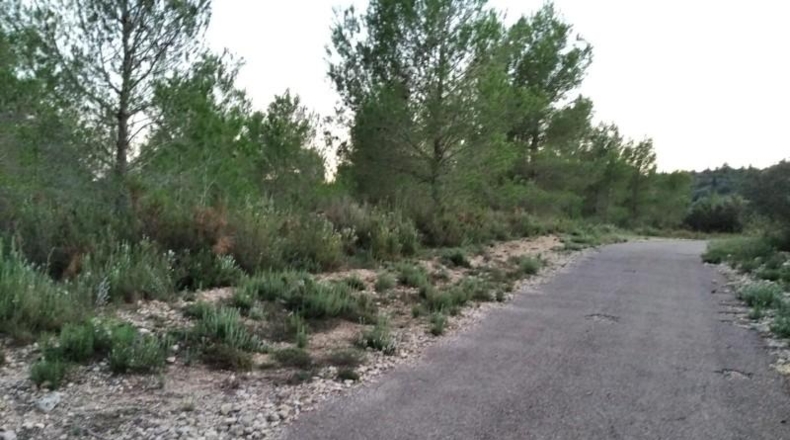 Castellón - Torre Endoménech - 13000m2