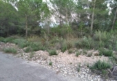 Terreno no urbanizable en venta en la España, Castellón de la Plana, ref: TR319356 foto
