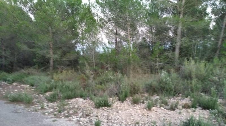 Castellón - Torre Endoménech - 13000m2