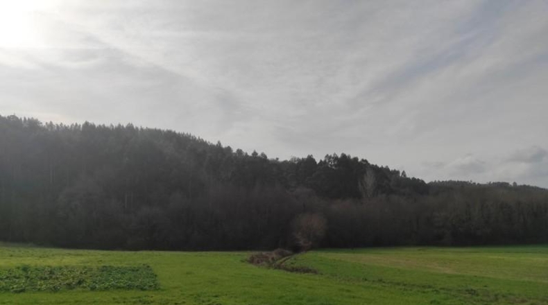 La Coruna - Santiago de Compostela - 5820m2