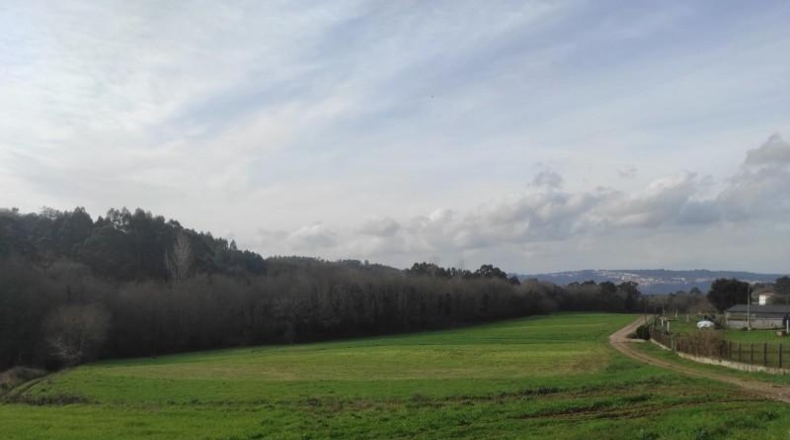 La Coruna - Santiago de Compostela - 5820m2