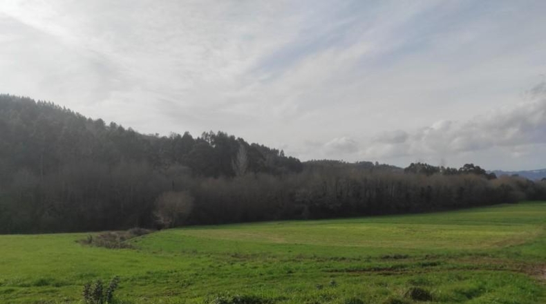 La Coruna - Santiago de Compostela - 5820m2