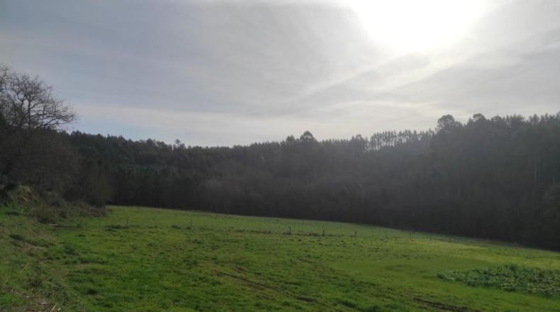 La Coruna - Santiago de Compostela - 5820m2