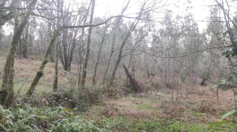 La Coruna - Santiago de Compostela - 5820m2