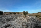 Terreno no urbanizable en venta en la España, Carabaña, ref: TR310228 foto
