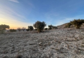 Terreno no urbanizable en venta en la España, Carabaña, ref: TR310228 foto
