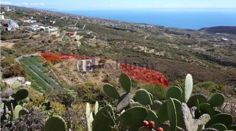 Santa Creu de Tenerife - Granadilla de Abona - 5826m2