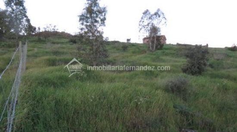 Cáceres - Cáceres - 2500m2