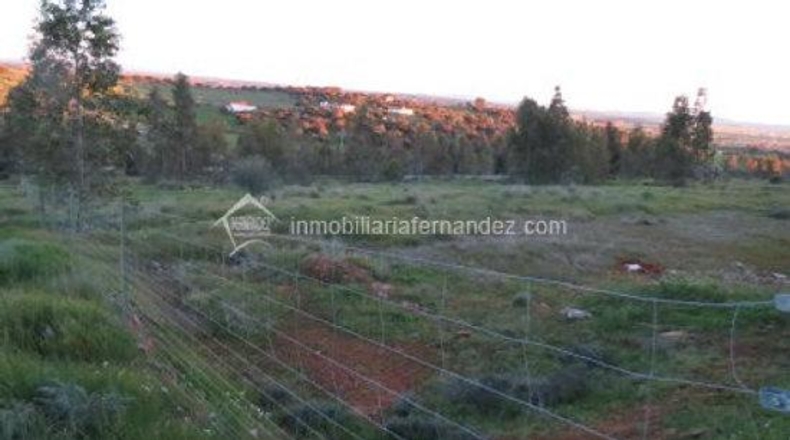 Cáceres - Cáceres - 2500m2