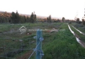 Parcela urbanizable en venta en la España, Cáceres, ref: TR116752 foto