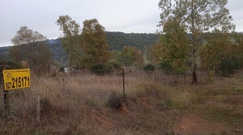 Cáceres - Cáceres - 2500m2