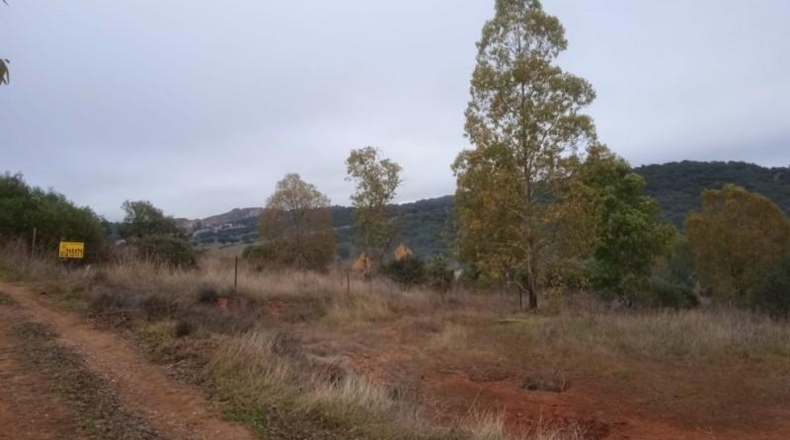 Cáceres - Cáceres - 2500m2