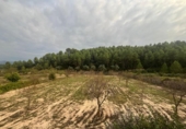 Terreno no urbanizable en venta en la España, Arens de Lledó, ref: TR398542 foto