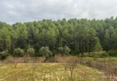 Terreno no urbanizable en venta en la España, Arens de Lledó, ref: TR398542 foto