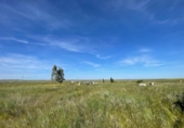 Terreno no urbanizable en venta en la España, Sierra de Fuentes, ref: TR242849 foto