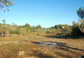 Terreno no urbanizable en venta en la España, Rasquera, ref: TR116628 foto