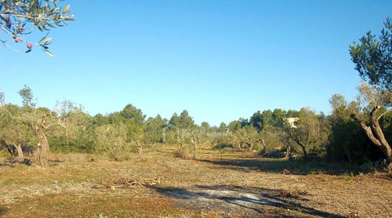 Tarragona - el Perelló - 13204m2
