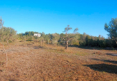 Terreno no urbanizable en venta en la España, Rasquera, ref: TR116628 foto