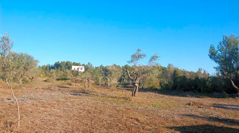 Tarragona - el Perelló - 13204m2