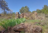Terreno no urbanizable en venta en la España, Cretas, ref: TR320180 foto