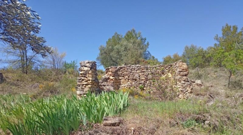 Teruel - Cretas - 12900m2