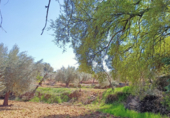 Terreno no urbanizable en venta en la España, Cretas, ref: TR320180 foto