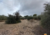 Terreno no urbanizable en venta en la España, Alcanar, ref: TR239603 foto