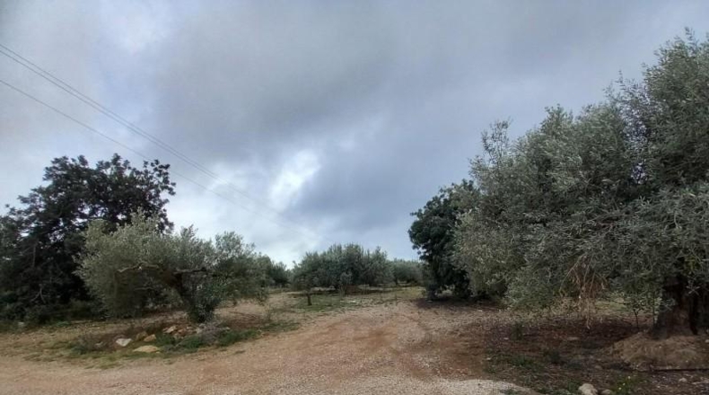 Tarragona - Alcanar - 4439m2