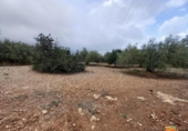 Terreno no urbanizable en venta en la España, Alcanar, ref: TR239603 foto