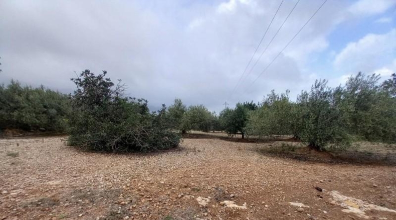 Tarragona - Alcanar - 4439m2