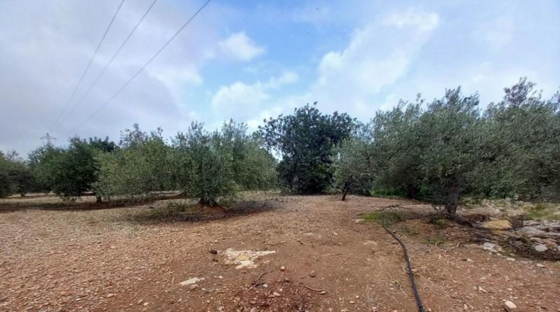 Tarragona - Alcanar - 4439m2