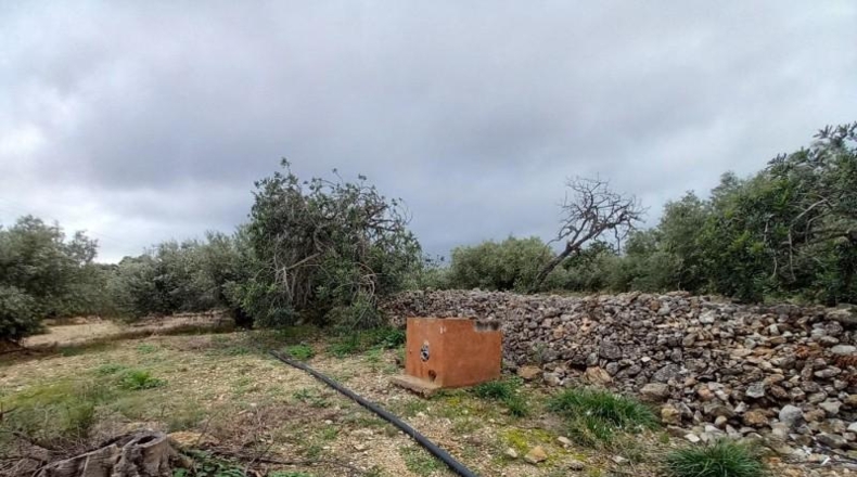 Tarragona - Alcanar - 4439m2