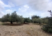 Terreno no urbanizable en venta en la España, Alcanar, ref: TR239603 foto