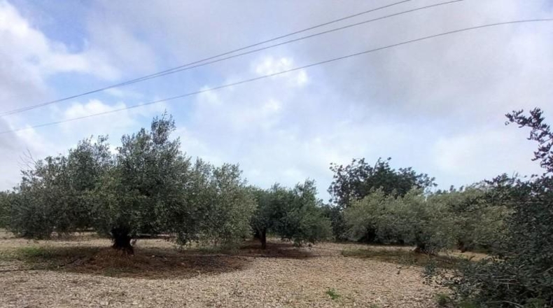 Tarragona - Alcanar - 4439m2