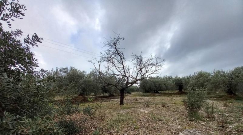 Tarragona - Alcanar - 4439m2