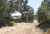 Chalet independiente con terreno en venta en la España, Cretas, ref: TR337426 foto