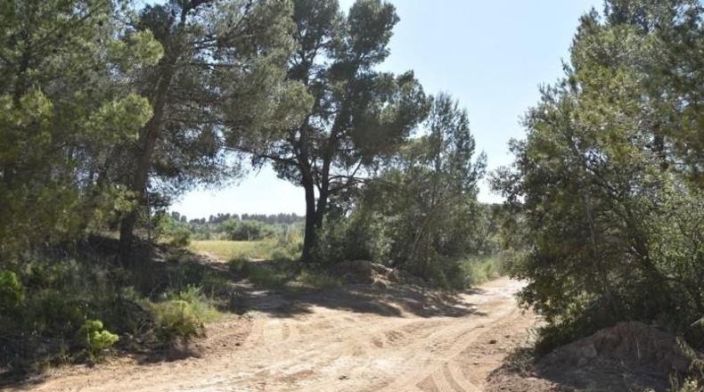 Teruel - Cretas - 13952m2