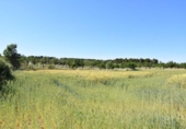 Chalet independiente con terreno en venta en la España, Cretas, ref: TR337426 foto