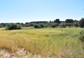 Chalet independiente con terreno en venta en la España, Cretas, ref: TR337426 foto